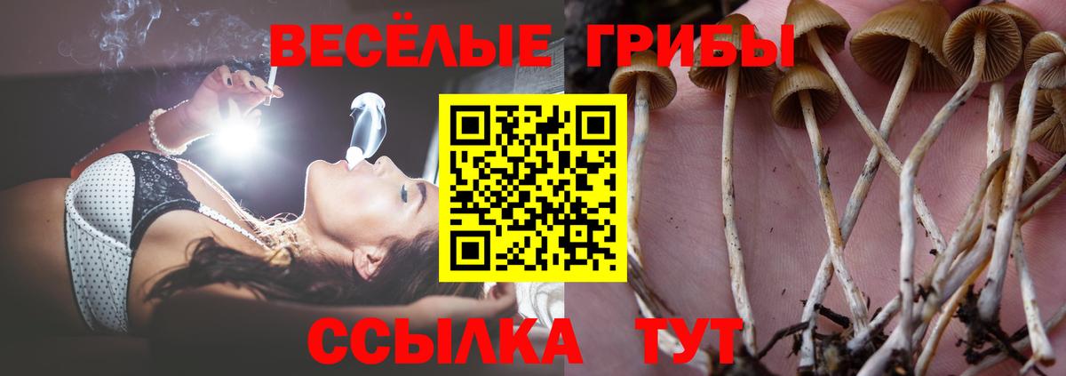 Галлюциногенные грибы прущие грибы Ржев